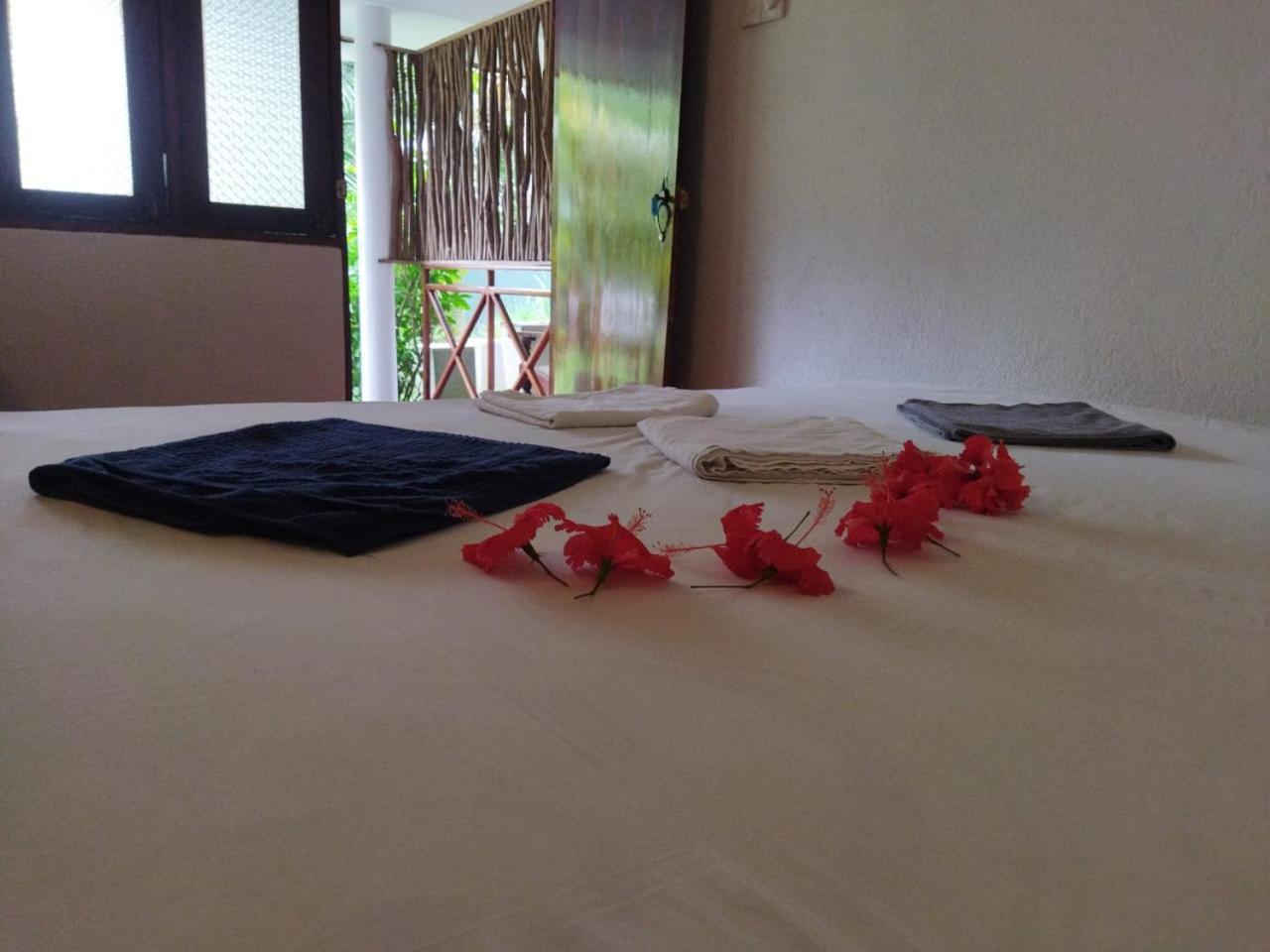 Lion Paradise Surf Beach มาตารา ห้อง รูปภาพ