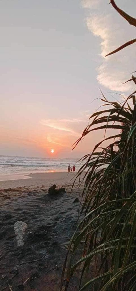 Lion Paradise Surf Beach มาตารา ภายนอก รูปภาพ